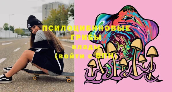 марки nbome Аркадак