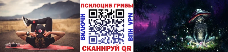 Псилоцибиновые грибы GOLDEN TEACHER  закладки  Карачаевск 