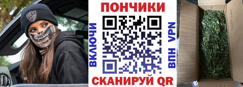купить наркоту  Карачаевск  МАРИХУАНА MAZAR 